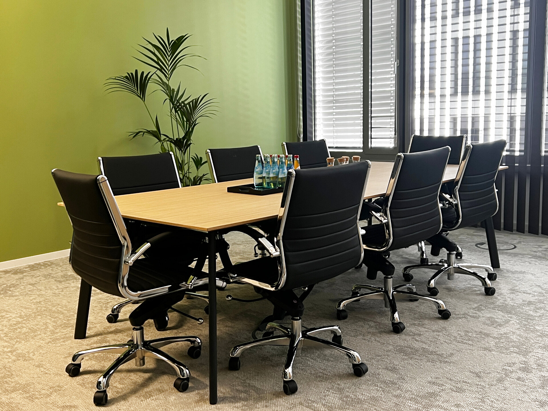 Tagesbüro mit Bibliothek und Parkblick